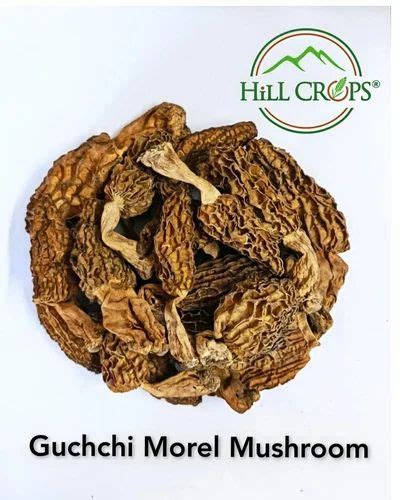 guchchi mushrooms price